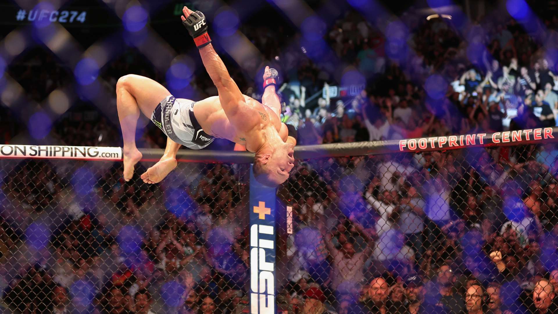 了我們對籃 了我們對籃