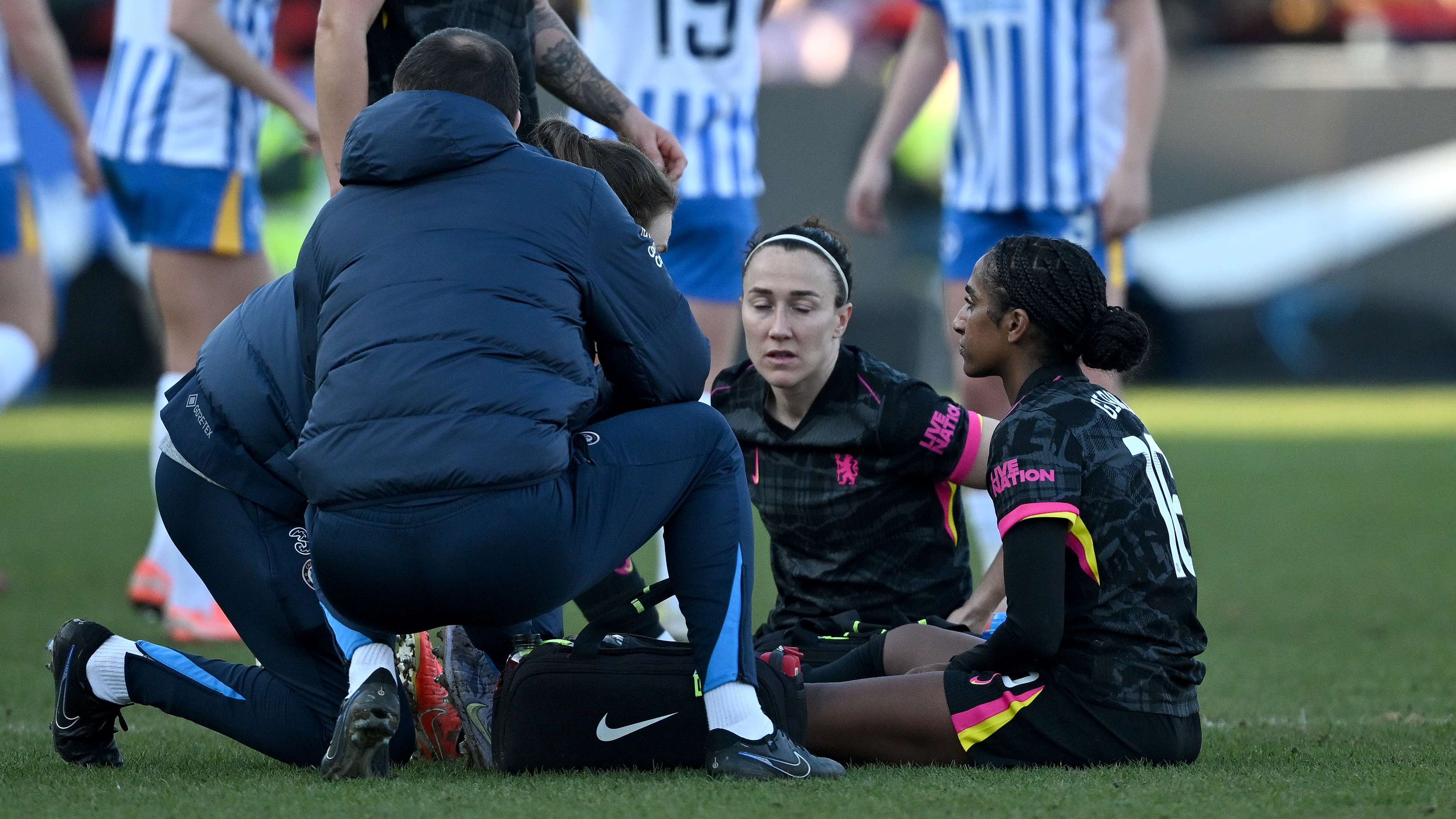 內部的栽培 內部的栽培