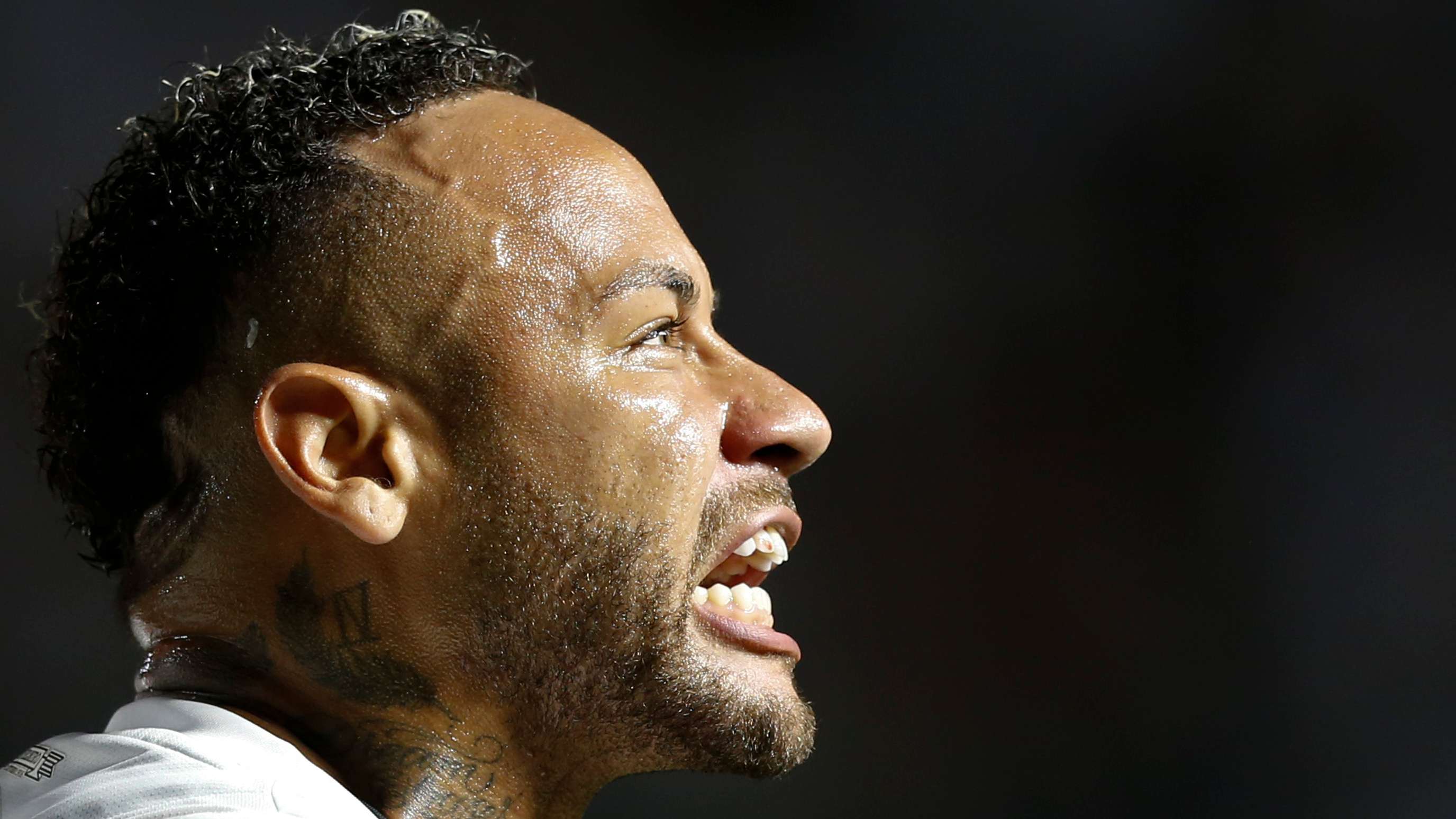 事业的坚定 事业的坚定