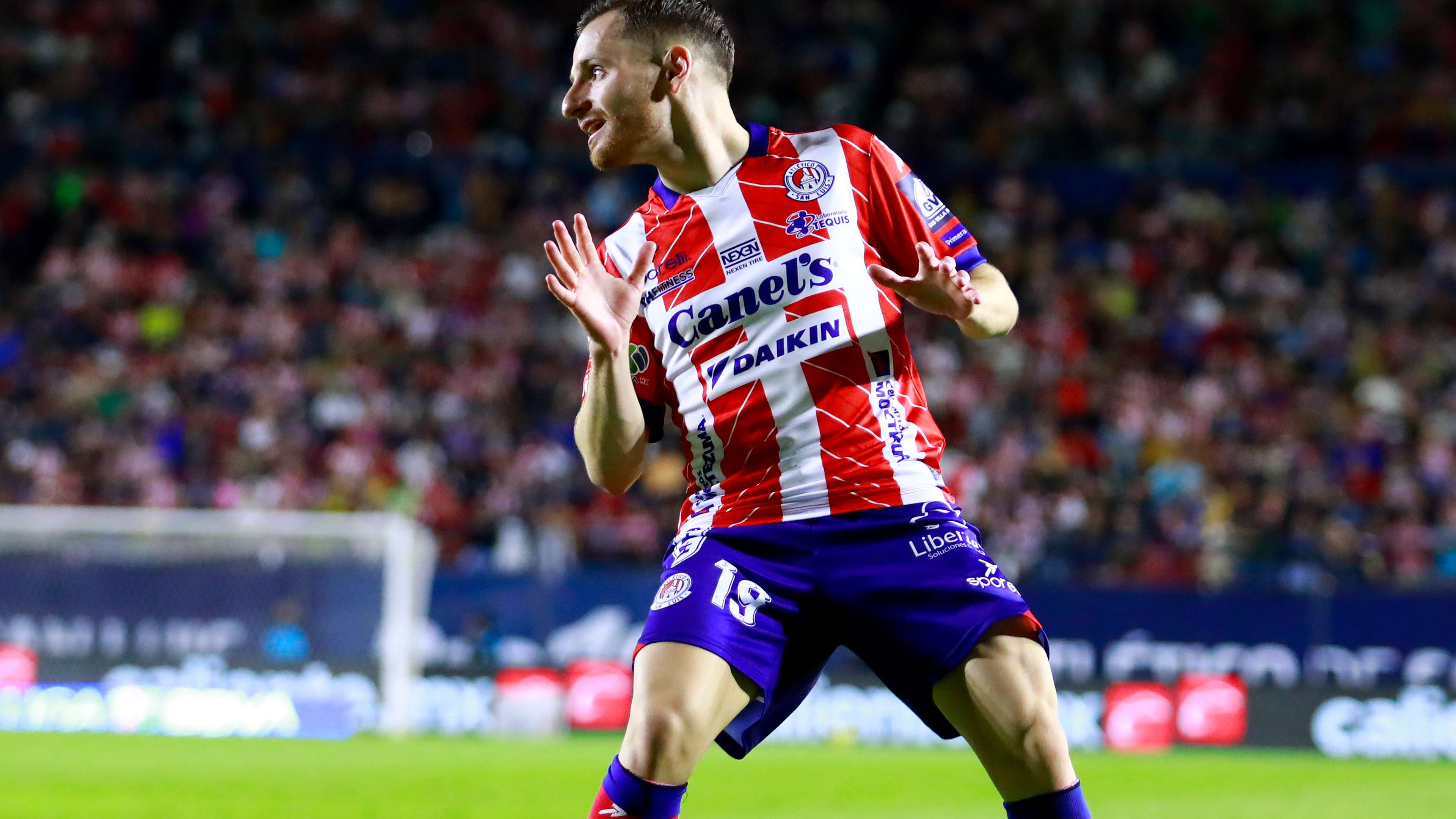 验的阿圭罗 验的阿圭罗